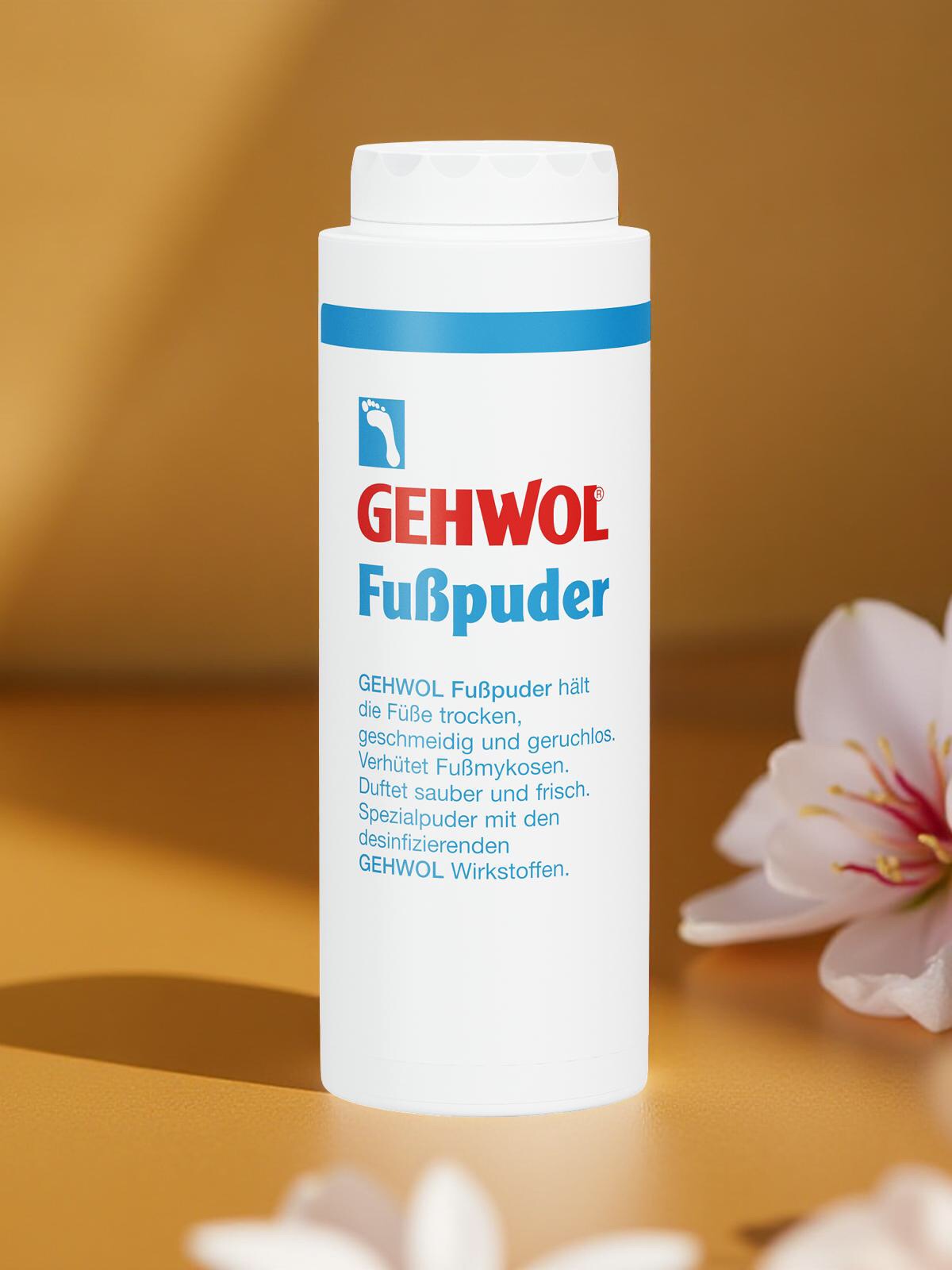 GEHWOL Fußpuder 100 g Streudose ( kein med. Fußpuder )