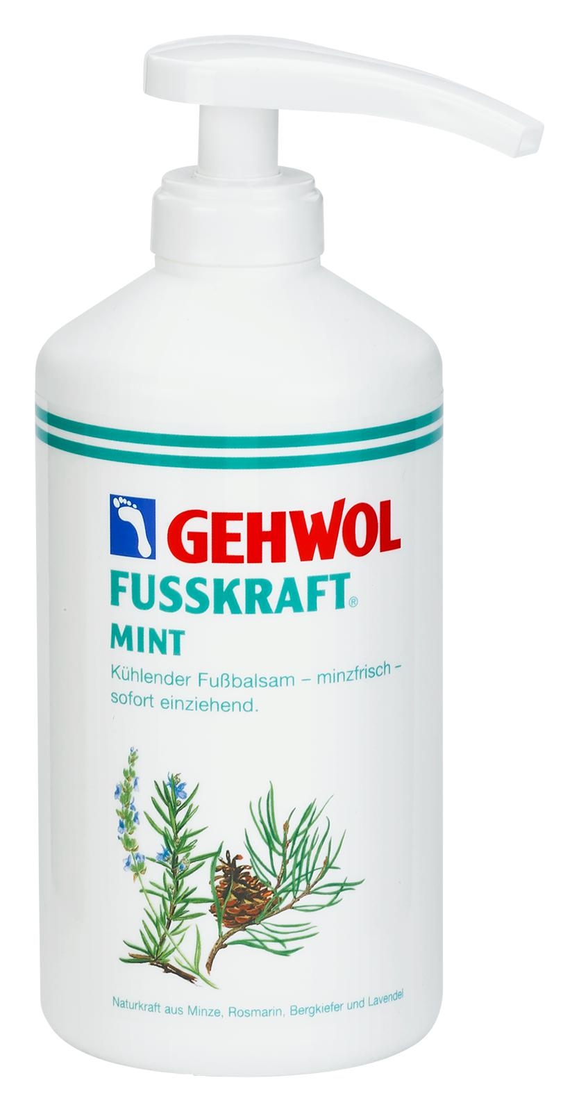 GEHWOL FUSSKRAFT MINT 500 ml Dose mit Spender