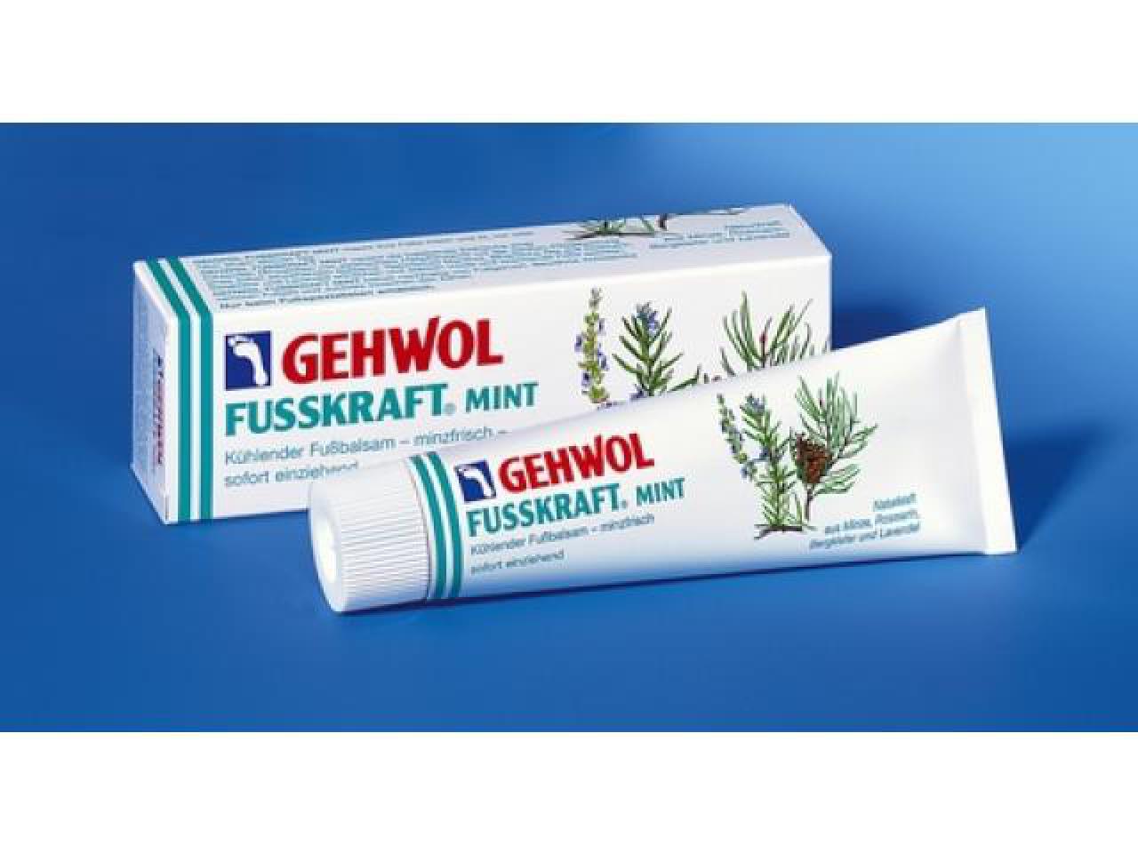 GEHWOL FUSSKRAFT MINT | 6x 75 ml (450 ml)